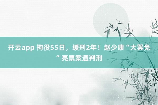 开云app 拘役55日，缓刑2年！赵少康“大罢免”亮票案遭判刑