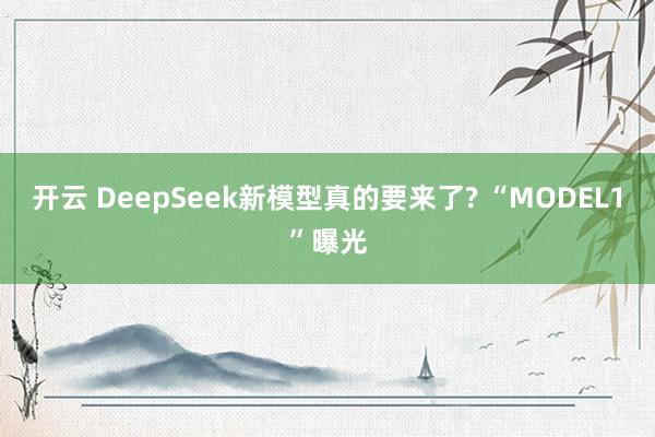 开云 DeepSeek新模型真的要来了? “MODEL1”曝光