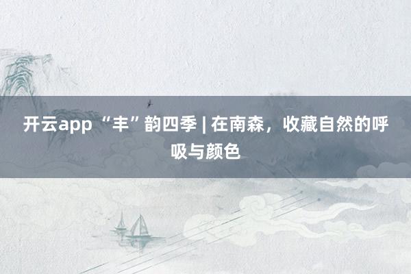 开云app “丰”韵四季 | 在南森，收藏自然的呼吸与颜色
