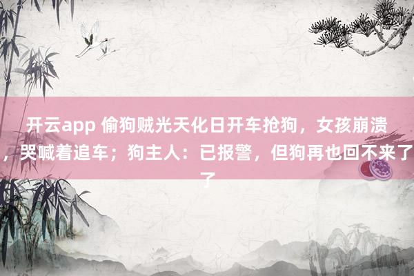 开云app 偷狗贼光天化日开车抢狗，女孩崩溃，哭喊着追车；狗主人：已报警，但狗再也回不来了