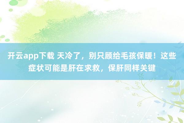 开云app下载 天冷了，别只顾给毛孩保暖！这些症状可能是肝在求救，保肝同样关键