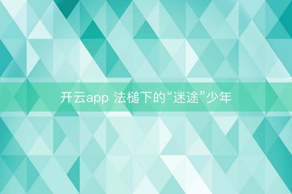 开云app 法槌下的“迷途”少年