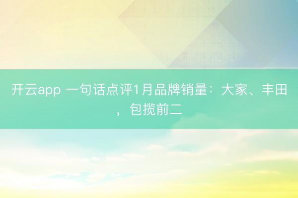 开云app 一句话点评1月品牌销量：大家、丰田，包揽前二