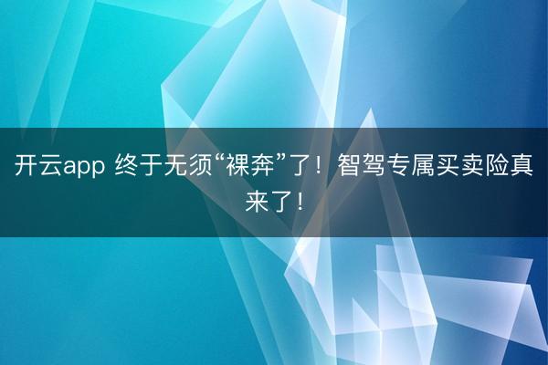 开云app 终于无须“裸奔”了!智驾专属买卖险真来了!