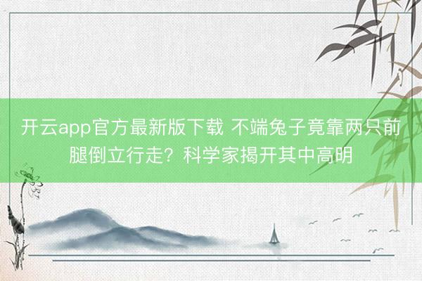 开云app官方最新版下载 不端兔子竟靠两只前腿倒立行走?科学家揭开其中高明