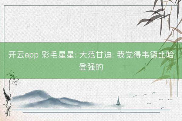 开云app 彩毛星星: 大范甘迪: 我觉得韦德比哈登强的