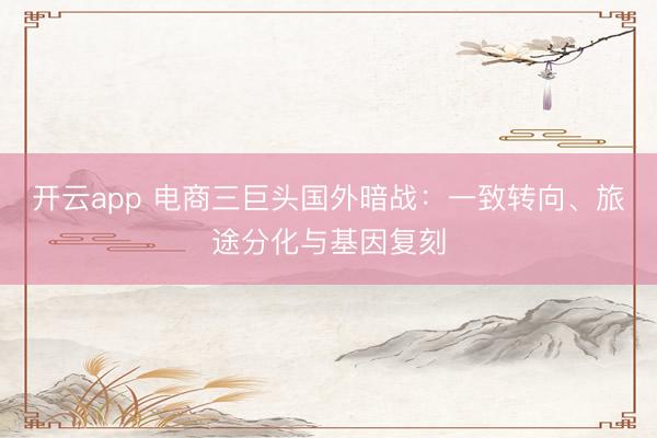 开云app 电商三巨头国外暗战：一致转向、旅途分化与基因复刻